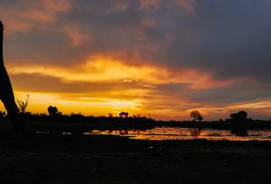 Wildlife & Wilderness of Botswana