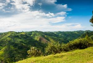 Gorillas & Masai Mara – Camping