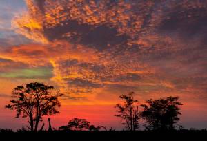 Botswana & Namibia: Delta & Dunes