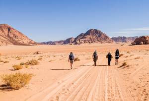 Petra & Wadi Rum Trek