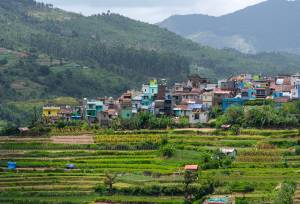 Spice Trails of Kerala