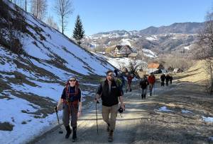 Transylvania Winter Walk & Snowshoe