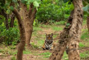 Highlights of Northern India – Summer itinerary