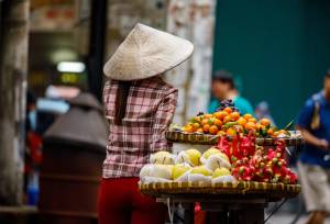 Vietnam Highlights