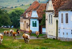 Highlights of Romania