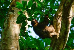 Costa Rica Adventure Family Holiday