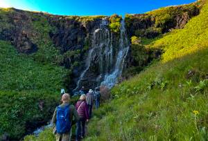 South Africa: Walking & Wildlife