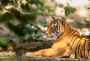 Highlights of Northern India