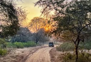 Rajasthan Highlights by Bike