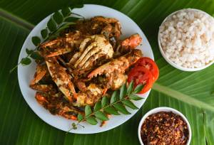 Best of Sri Lanka – Family Adventure