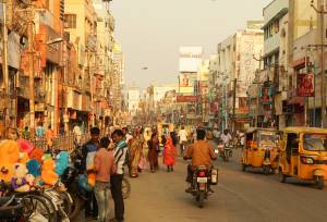 Kerala & the Tropical South