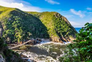Best of Cape Town and the Garden Route