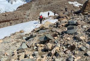 Patagonian Highlights