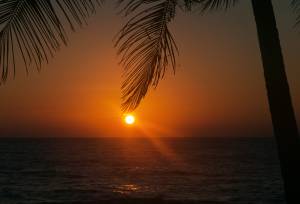 Cycle Kerala & Tropical India