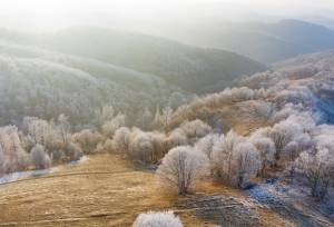 Transylvania Winter Walk & Snowshoe