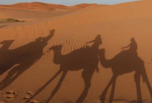 Discover Marrakech & the Sahara