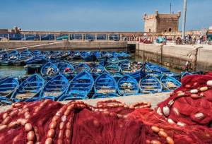 Cycle Morocco’s Great South