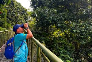 Borneo & the Malaysian Peninsula