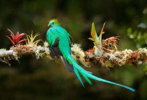 Discover Costa Rica