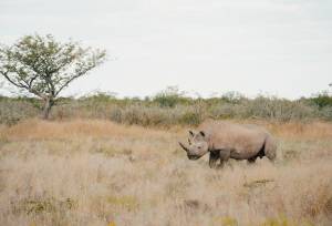 Discover Namibia – Camping