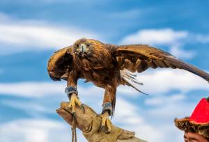 Mongolia Golden Eagle Festival