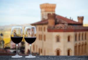 Barolo Gastronomic Cycling by E-Bike
