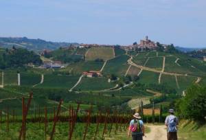 Walking in Piedmont