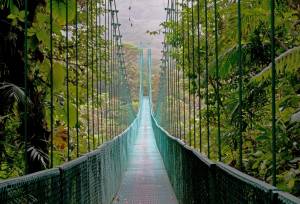 Monteverde Cloud Forest, Costa Rica