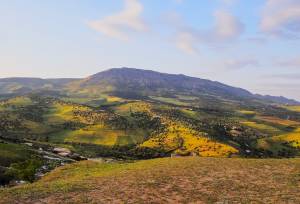 Landscape of Middle Atlas Mountains