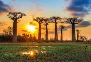 Madagascar Wildlife Adventure (2027)