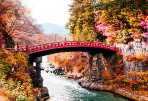 Highlights of Japan