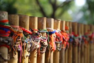 Cycle Southeast Asia