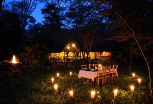 Safari Add-on Tour after Rongai Route