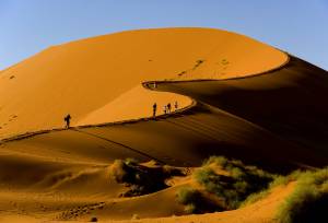 Cycle Namibia