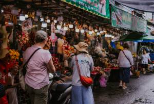 Vietnam Highlights