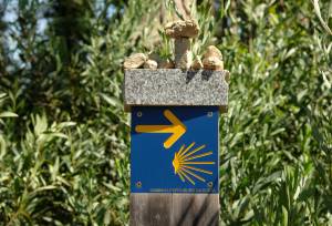 Cycle the Coastal Portuguese Camino
