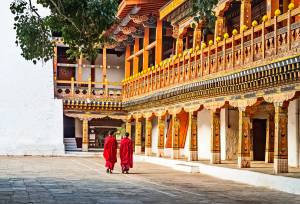 Festivals of Bhutan – Black Crane