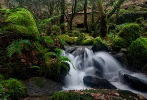 Portuguese Camino Highlights Walk