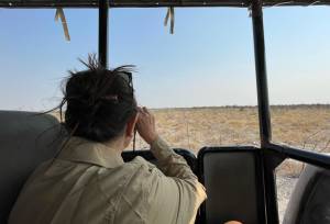 Botswana & Namibia: Delta & Dunes