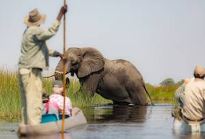 Wildlife & Wilderness of Botswana