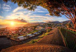 Walking the Island of Madeira