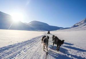 Svalbard Arctic Adventure – Sunny Winter