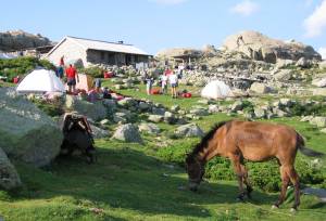 Trek the GR20 of Corsica