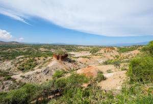 Tanzania Safari Adventure