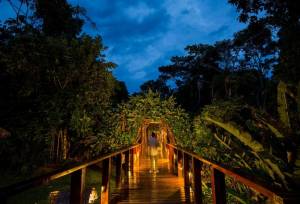 Amazon Rainforest Add-on (post-tour, from Lima)