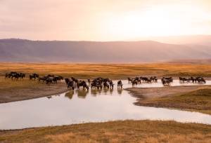 Kenya & Tanzania Adventure