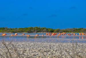 Mexico’s Yucatán Adventure