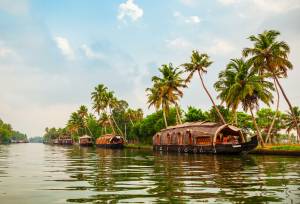 Kerala & the Tropical South