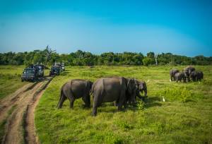 Highlights of Northern Sri Lanka