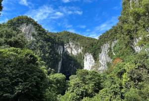 Borneo Wildlife Discoverer